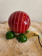 Channapatna wooden snail toy front view showing cream head and green legs